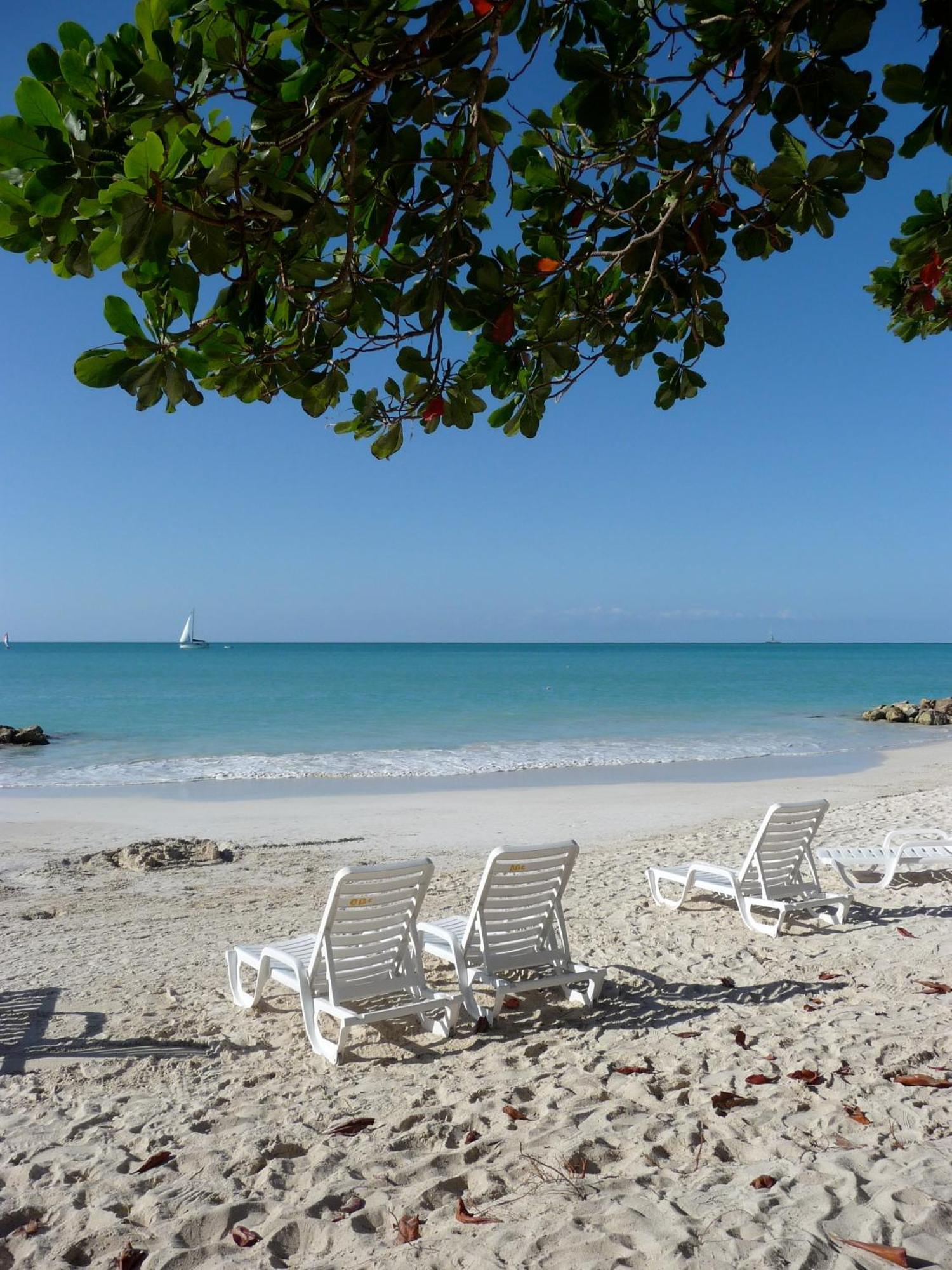Dickenson Bay Buccaneer Beach Club מראה חיצוני תמונה