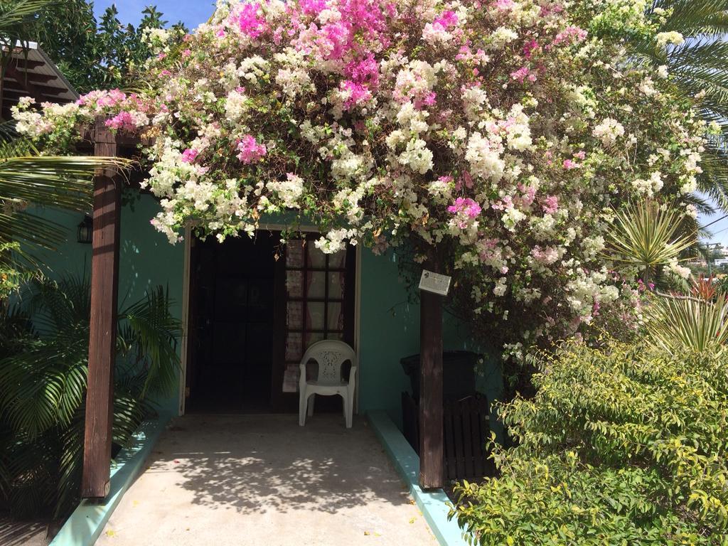 Dickenson Bay Buccaneer Beach Club מראה חיצוני תמונה