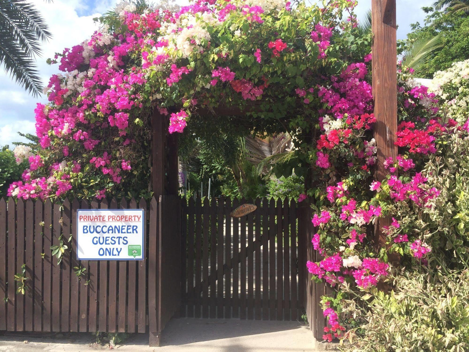 Dickenson Bay Buccaneer Beach Club מראה חיצוני תמונה